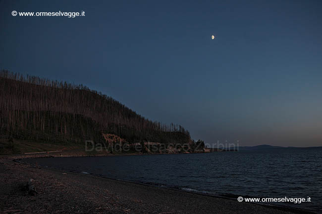 270 Yellowstone lake IMG 0198 (3)